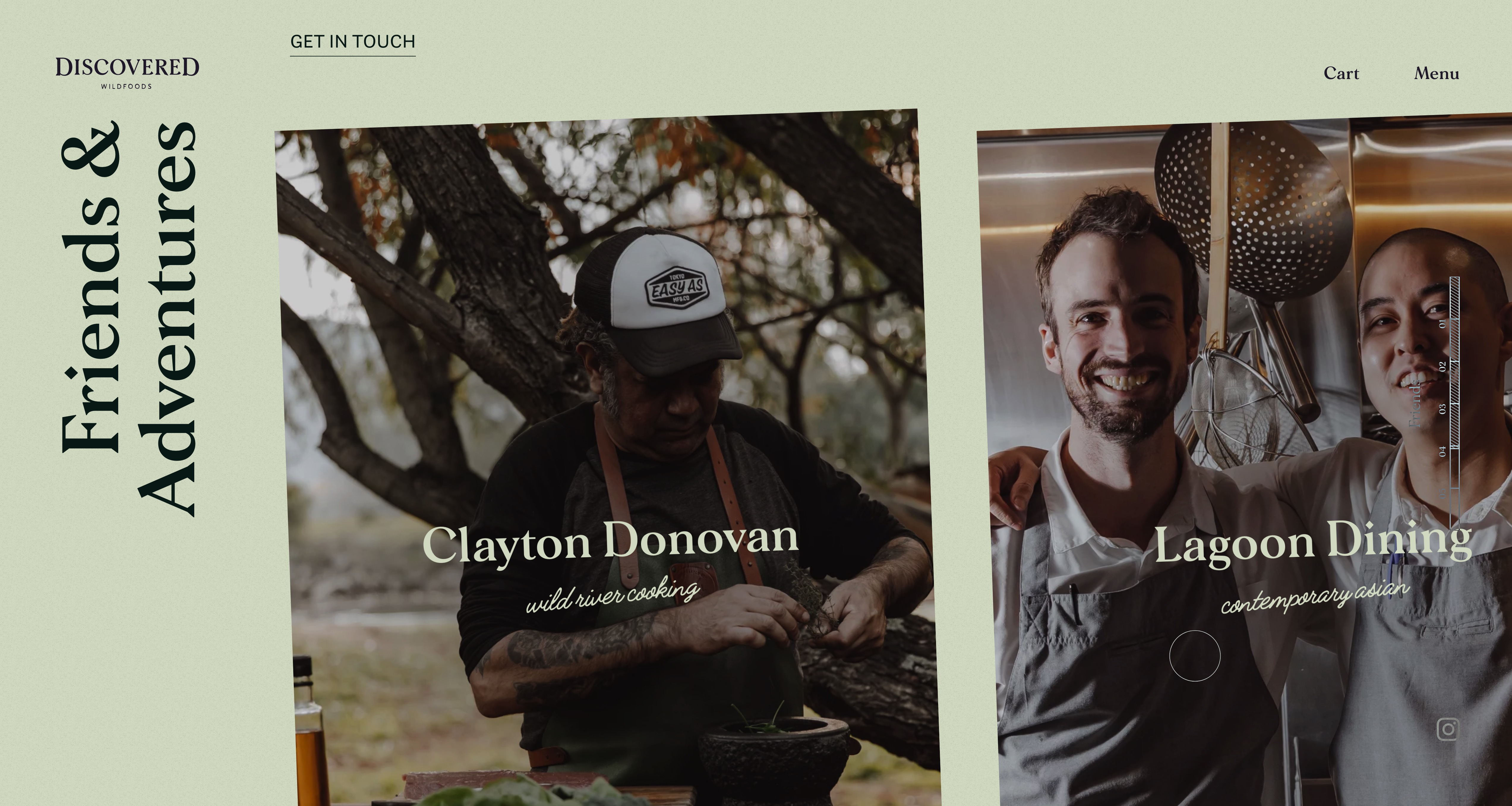 黄色网站discoveredfoodsdiscoveredwildfoods被发现的美食食品预览